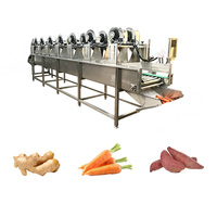 Ligne de lavage, de nettoyage, de séchage, de traitement et de tri pour les gros légumes (gingembre, carottes, patates douces)