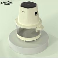 Vente flash : Mini four à air chaud électronique 2L avec fenêtre en verre, personnalisable, électrique, pour frites, en plastique, pour usage domestique