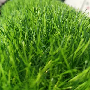 Artificial Grass Mat for Patio, Home Decoration, Artificial Grass & Sports Flooring Realistic Turf Tile India/Malaysia