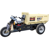 Elektrischer Mini-Dumper/LK160 Motorisiertes Dreirad/3-Rad-Elektro-LKW/Bergbau-Dumper