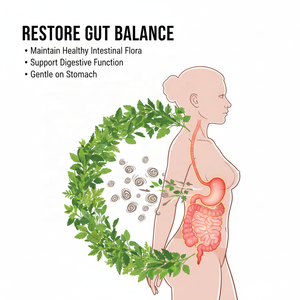 Gouttes Nettoyantes Naturelles Contre les Parasites à Marque Blanche, Supplément Liquide Détoxifiant aux Herbes de Noyer <span class=keywords><strong>Noir</strong></span> et d'Armoise pour Adultes - Product Image 4