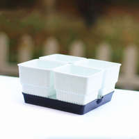 Akar Kontrol Pot Bunga Sukulen Plastik Pot Bunga Kreatif Pot Bunga Tray Kombinasi Grosir