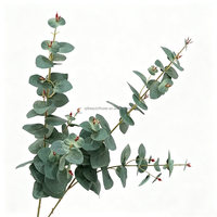 Ranting Eucalyptus Buatan Berkualitas Tinggi L-598, Daun Perak, Tangkai Panjang, Sentuhan Alami, Ramah Lingkungan, Bersertifikat CE, Cocok untuk Pernikahan