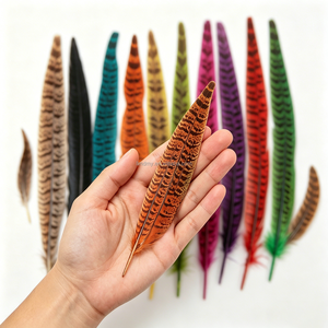 Plumas de Cola de Faisán Lady Amherst Auténticas - Ideales para Fondos de Estudio Fotográfico, Adornos de <span class=keywords><strong>Alta</strong></span> <span class=keywords><strong>Costura</strong></span> y Decoraciones Navideñas - Product Image 1