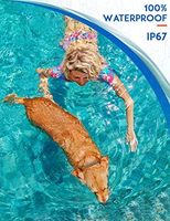 Wiederaufladbares Umweltfreundliches Plastik-Hundeagility-Trainingshalsband IP67 Wasserdicht 3300ft Reichweite Vibrierendes Signal 5-120 Pfund Alle Rassen