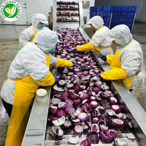 Fruta de dragón fresca de alta calidad y cebolla roja congelada, condimentos cultivados en invernadero, <span class=keywords><strong>verduras</strong></span> IQF, precio al por mayor, <span class=keywords><strong>beneficios</strong></span> para la salud SD - Product Image 2