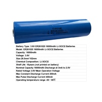 Batterie au Lithium primaire haute capacité 261020 CC taille 3.6V 18000mAh Li-SOCl2 pour appareils ménagers jouets et outils électriques