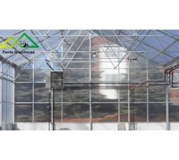 Grandes serres polytunnels avec panneaux solaires, serres en polycarbonate