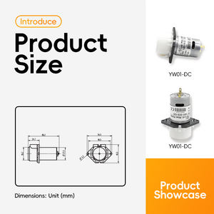 6V 12V 24V Gleichstrom motor Einstellbare Durchfluss rate Mini-Schlauch pumpe mit Siliziumschlauch-Dosier pumpe Digitaldruck maschine - Product Image 4