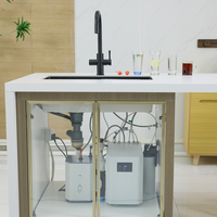 Distributeur d'eau chaude et froide instantanée électrique, machine à soda pétillante avec eau filtrée, tout en un