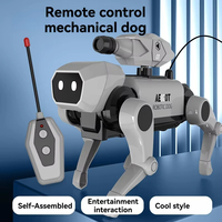 Beliebtes DIY Plastik-Fernsteuerungsroboter-Hund & -Katze Bausatz-Spielzeug für Kinder - Innen- und Außenbereich Geeignet, Elektrisch Beweglich & Spaßig