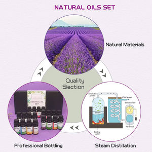 <span class=keywords><strong>Olio</strong></span> Essenziale <span class=keywords><strong>di</strong></span> <span class=keywords><strong>Calendula</strong></span> Naturale <span class=keywords><strong>di</strong></span> Alta Qualità a Prezzo All'Ingrosso, <span class=keywords><strong>Olio</strong></span> Vegetale Vergine <span class=keywords><strong>di</strong></span> <span class=keywords><strong>Calendula</strong></span> - Product Image 2