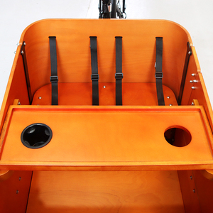 Nouveau vélo cargo électrique à 3 roues, best-seller, avec <span class=keywords><strong>porte</strong></span> latérale, pour usage familial, vélo hollandais pour transporter des enfants et des animaux de compagnie - Product Image 3
