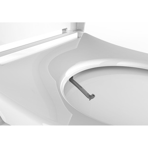Современное неэлектрическое биде удлиненное двойное насадка для унитаза - Product Image 1