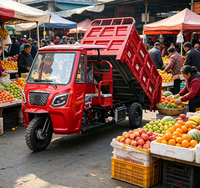 Tricycle électrique à trois roues et à cinq roues, moto ouverte, camion à benne basculante pour usage agricole et domestique, camion à essence, camion de transport de marchandises, vente chaude transfrontalière