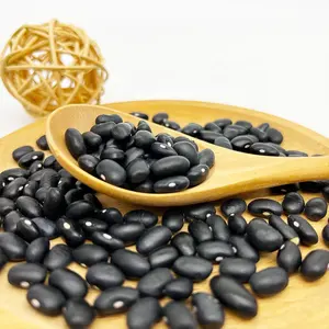 black kidney beans with high quality to be made Black bean powder