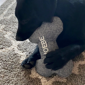 Kişiselleştirilmiş işlemeli adı özel köpek oyuncak Pet çiğnemek oyuncaklar dayanıklı köpek oyuncaklar yılbaşı hediyeleri - Product Image 6