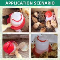 Mangeoire automatique pour poulets, durable, en PE, légère, pour poulets, cailles, canards, équipement d'élevage