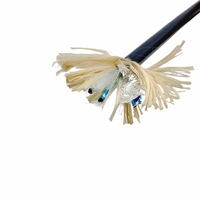 Câble personnalisé Paide haute flexibilité, 2 paires, blindé TPU, paire torsadée, 300V, anti-interférence, pour capteurs et instruments d'automatisation