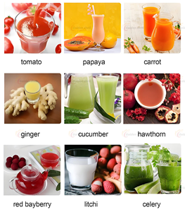 Exprimidor Espiral Comercial de Gran Escala para <span class=keywords><strong>Jengibre</strong></span> <span class=keywords><strong>y</strong></span> Fresa, Extrusión Espiral de Acero Inoxidable para Frutas - Product Image 4