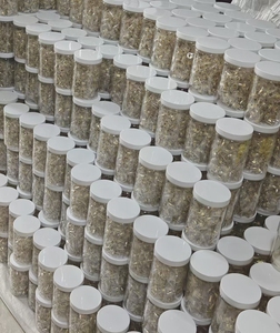 Dual Insulated Copper <strong>Terminals</strong> 3*6 MM&sup2; and 2*6 MM&sup2; Double Hole Wire Connector <strong>Terminal</strong> Block for Electrical Junction Box - Product Image 4