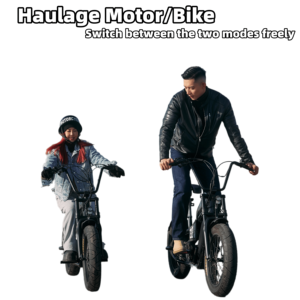 Motos Cruiser, Moto Kawasaki Ninja, Moto de course, Moto électrique Sur Ron Light Bee X, Dirtbike Surron Light Bee - Product Image 4