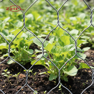 Malla de alambre de hierro galvanizado 2x2x1 para gaviones, cajas, bancos, colchones, cercas, cestas, protección y productos de malla de cadena flexible - Product Image 6