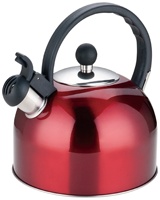 Bouilloire sifflante à fond plat en acier inoxydable de haute qualité théière de capacité de 2.5L pour un usage domestique fond à induction Design moderne