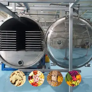 Vegetable And Fruits Vacuum Freeze-Drying Machine Vacuum Dryer
