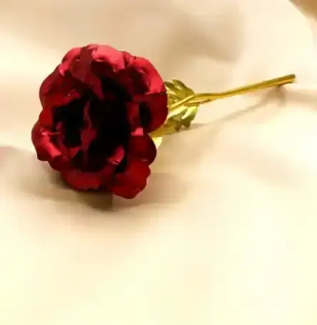 ตามที่แสดง