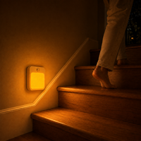 Usine en gros de haute qualité alimenté Led sécurité intérieur escalier lumière veilleuse pir capteur de mouvement lumière