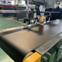 Marqueur laser à fibre pour bande transporteuse automatique 20w 30w 50w pour matériaux métalliques et non métalliques