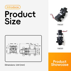 YW G01 12/21/24 V Kupferdraht motor Vakuum Selbst ansaugende Membran pumpe für die landwirtschaft liche Bewässerung - Product Image 5