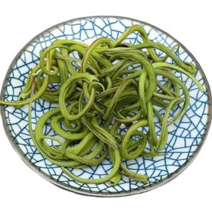 Plantas de Helecho Lingua de Shi Wei, Hoja Natural Silvestre de Pyrrosia Lingua para Té - Product Image 1