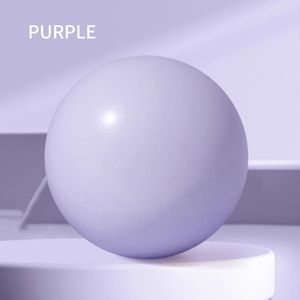 Pelota de Yoga y Pilates de PVC de 25 cm, Personalizada al por Mayor, para Gimnasio, Fitness, para Mantenerse en Forma, para Uso en Interiores - Product Image 3