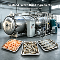 Sécheur par congélation commercial à économie d'énergie, machine de lyophilisation alimentaire à commande PLC intelligente
