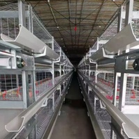Cage d'élevage de poulets de chair de volaille de type h à 3 niveaux entièrement automatique de haute qualité fabriquée en Chine au meilleur prix pour une vente aux Philippines