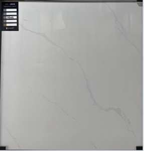 Foshan 뜨거운 판매 공장 직접 판매 원래 도자기 타일 바닥 60x60 세라믹 벽 타일 - Product Image 4