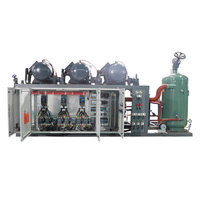 Unité de condensation à vis parallèle avec compresseur double ou quadruple en option, capacité variable, fonctionnement économe en énergie