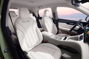 2025 para Star Pure, coche pequeño con batería de litio-ferrofosfato, motor de 100-150kW, autonomía de 301-400km - ¡Venta caliente! - Product Image 6
