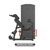 Usine Gym Fitness Equipment Pin Loaded Selectorized Back Extension Machine Select Back Extension avec Hyperextension Exercise