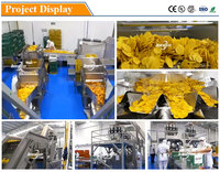 Chaîne de production de chips de plantain de haute qualité chips de banane faisant la machine équipement de production de chips de fruits machine à frire les chips