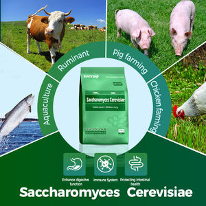 กรดอะมิโนเกรดฟีดยีสต์ผลิตในมณฑลเหอเป่ยประเทศจีนสำหรับอาหารสัตว์ - Product Image 4