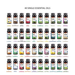 Factory Supply OEM Bulk Diffuser Bulk Perfume Oil Bottle Gift Case Pack 10ml <strong>Lemon</strong> Essential Oil - Product Image 4