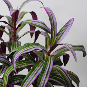 Flower Delight - Lirio Artificial de Bambú de 78 Pulgadas en PVC Suave con Hojas Verdes y Moradas para Decoración del Hogar y Bodas - Product Image 4