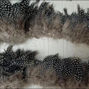 Venta al por mayor 3-5 "Natural Strung <span class=keywords><strong>Guinea</strong></span> Fowl Spotted Feathers Fly Tying Feathers para decoración Party Feather - Product Image 4