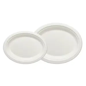 Assiette ovale en bagasse de pulpe de canne à sucre biodégradable compostable de 10 pouces 12 pouces écologique