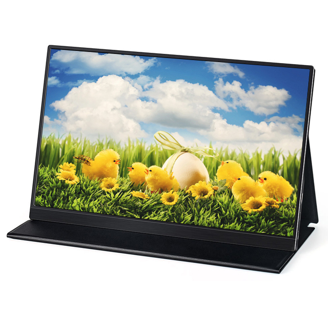 15.6 Inch 1080P FHD Gaming USB Extender Portable Monitor with IPS Widescreen for Interface LED Backlight-Laptop & Mobile Use