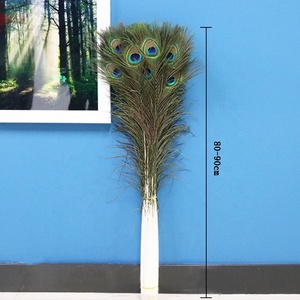 Đẹp 32-36 Inch (80-90 Cm) Màu Sắc Tự Nhiên Con Công Đuôi Lông Chất Lượng Cao Thân Thiện Với Môi Dài Mắt Lớn Mô Hình Nguyên Bán Giá Rẻ - Product Image 6