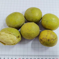 Guoyue massal 100% buah kunyit alami pemanis kering bubuk buah Luhan kering gula beku pengganti-buah biksu kering seluruh buah